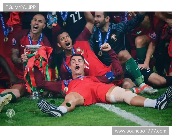 葡萄牙2016欧锦赛