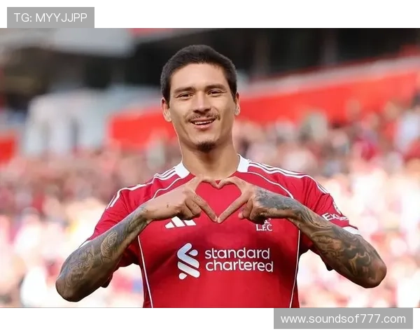 努涅斯：从潜力股到主力轮换的生涯阶段解析